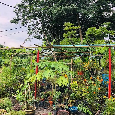 Atocha Homestay - Terong@Taiping Kampong Salak Buitenkant foto